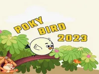 image Poky Bird 2023