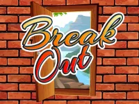 image BREAK OUT