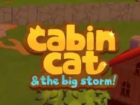 image Cabin Cat Storm Survivor