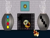 image Hen Family Rescue Series Final