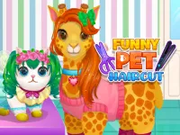 /op/fun/game/funny-pet-haircut
