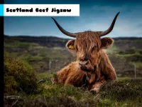 image Scotland Beef Jigsaw