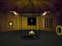 image Toucan Rescue