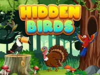 image Hidden Birds