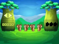 image Grassy Land Escape