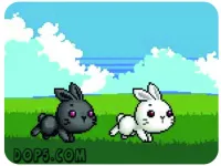 Bu Bunny Two Rabbit