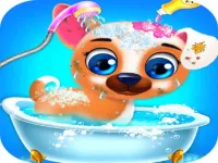 image Puppy Care