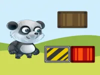 image Panda Balance