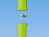image Floppy Fly