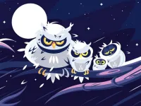 image Wild Birds Match 3