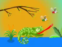 image Hungry Chameleon