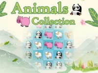 image Animals Collection