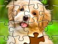 image Jigsaw Puzzle 2020