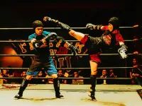 image Fighters in the Ring