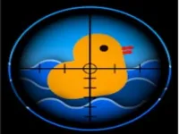 image Duck Shoot