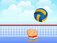 image Volleyball