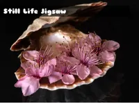 image Still Life Jigsaw