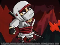 image Ninja Warrior Shadow of Last Samurai