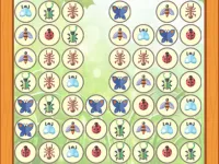 Bugs Match