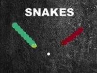 image Snakes