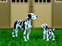 image Domestic Animals Jigsaw