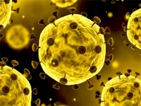 image Coronavirus Slide