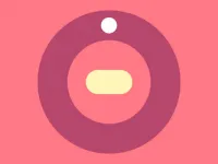 Chaotic Spin