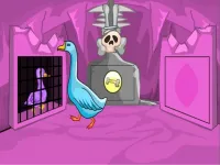image Duck Family Rescue Series Episode 3